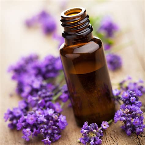 essential oils in bulk wholesale.